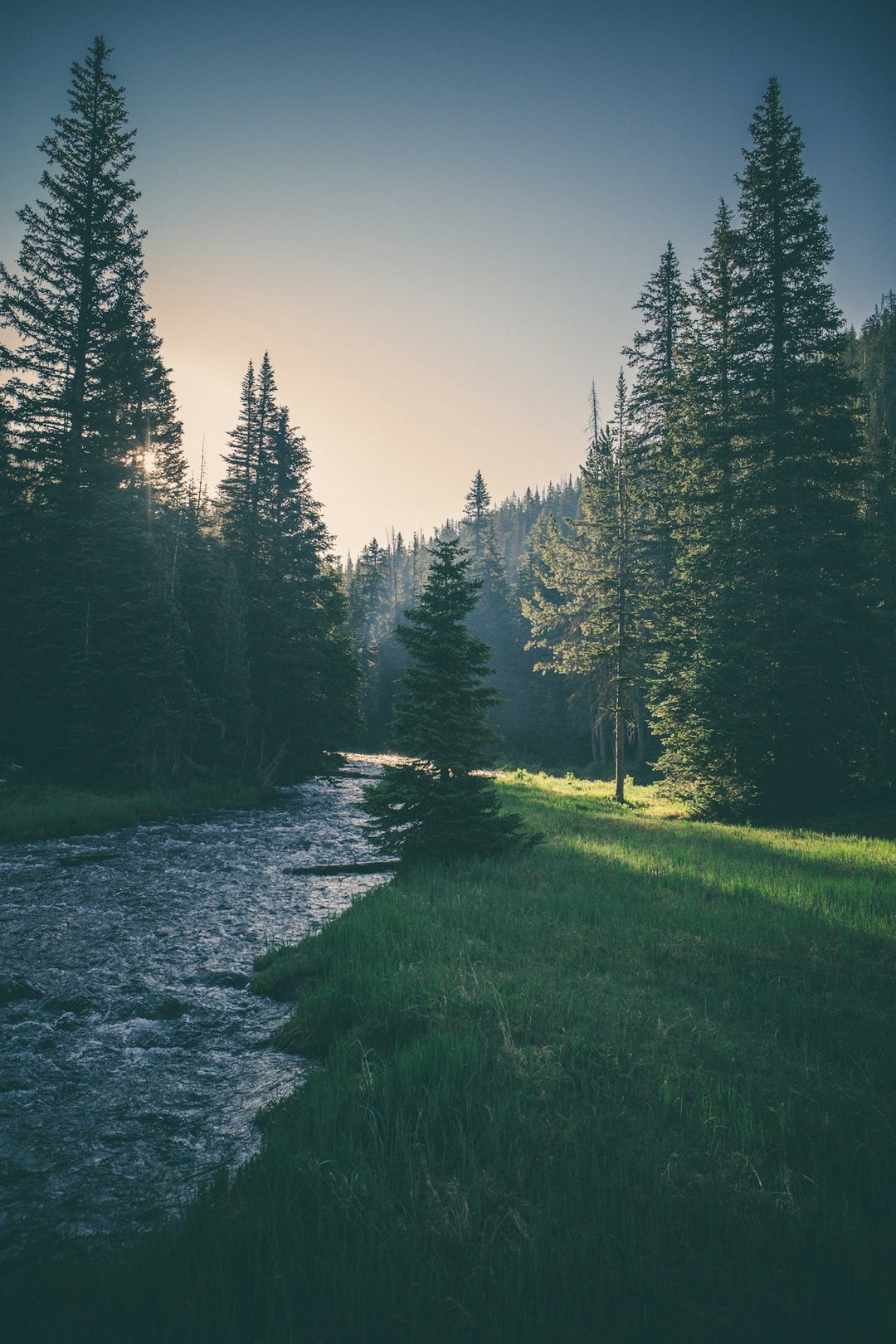 Beginner's Guide: Outdoor Camping with Ebikes in the UK