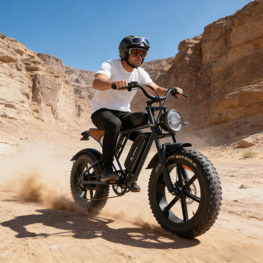 JANSNO X70 LONG-RANGE FAT TYRE ELECTRIC BIKE
