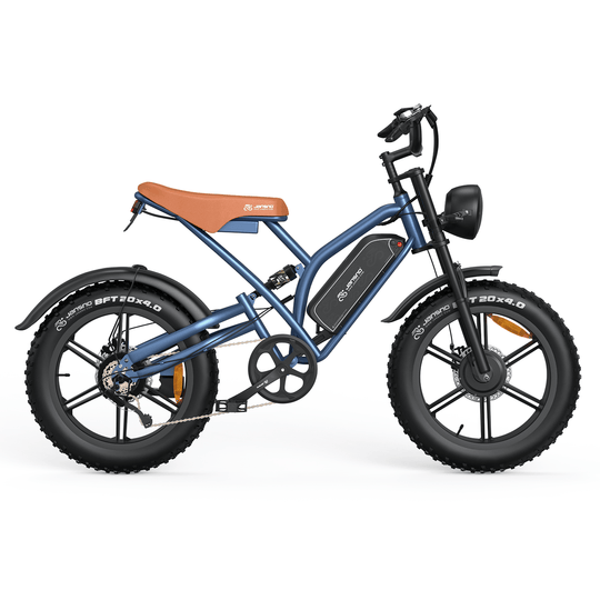 Customize your own ebike (for wholesale only)