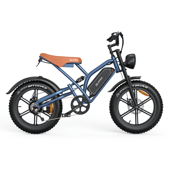 Customize your own ebike (for wholesale only)