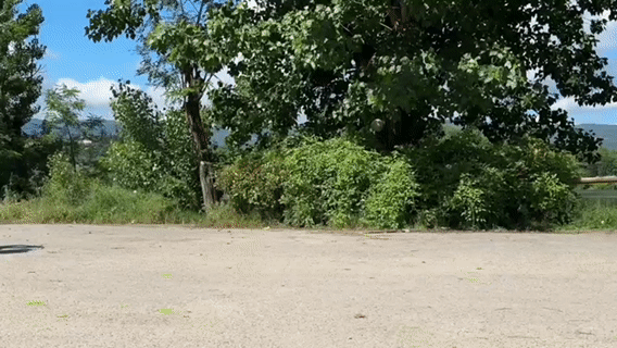 Jansno x50 Braking capacity