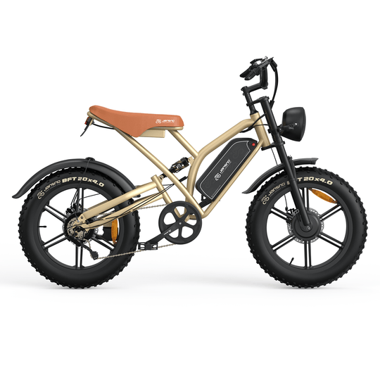 Customize your own ebike (for wholesale only)