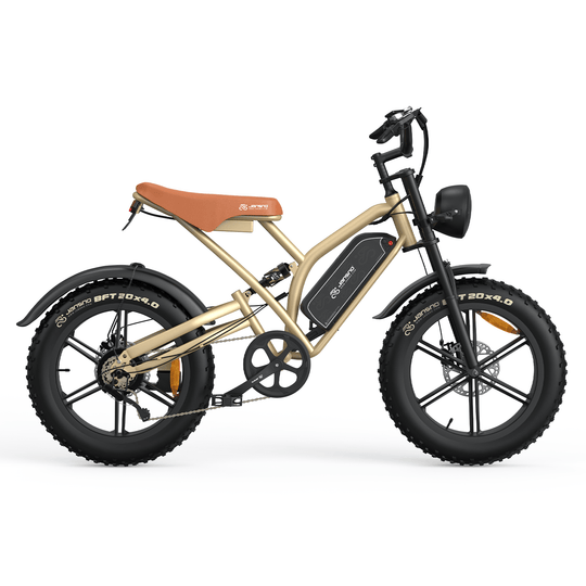Customize your own ebike (for wholesale only)