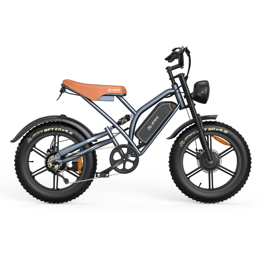 Customize your own ebike (for wholesale only)
