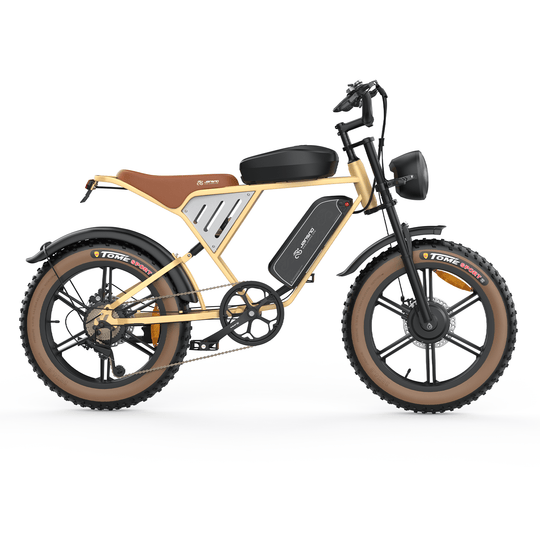 Customize your own ebike (for wholesale only)