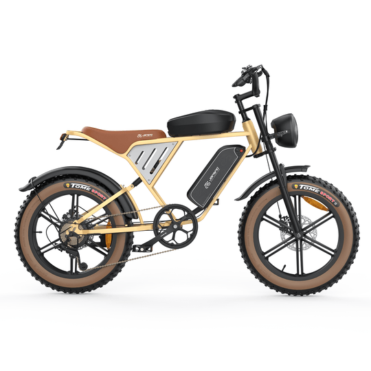 Customize your own ebike (for wholesale only)