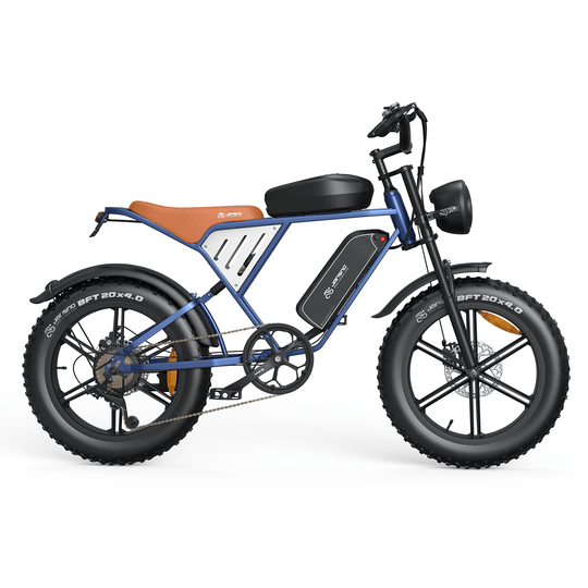 Customize your own ebike (for wholesale only)