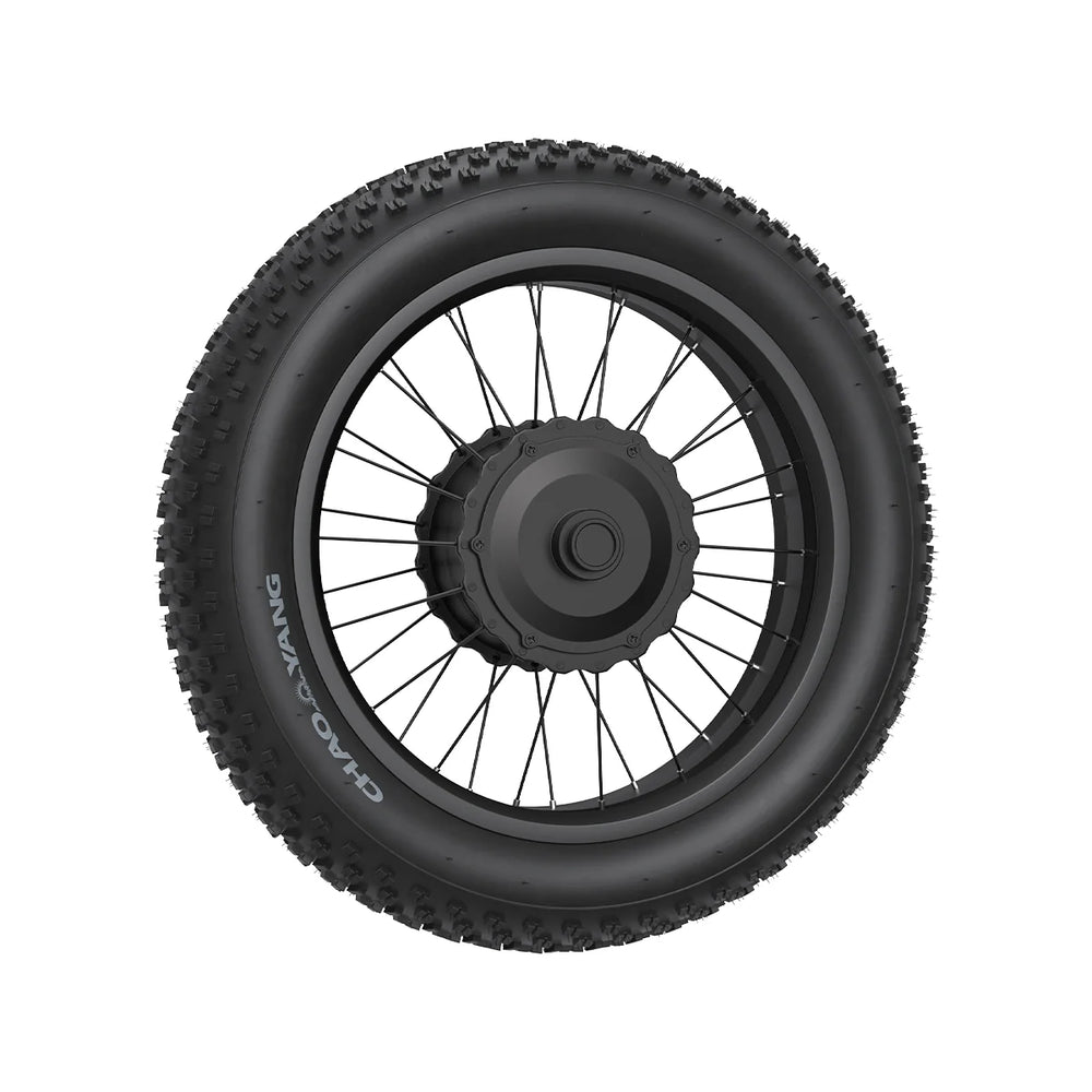 Integrated Motor Wheel Set For Jansno X90