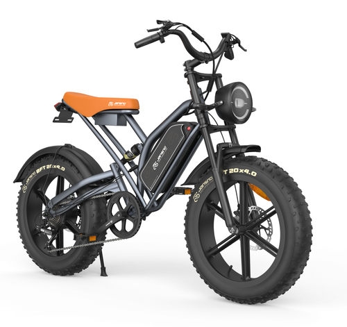 JANSNO X50 Fat Tire Electric Bike