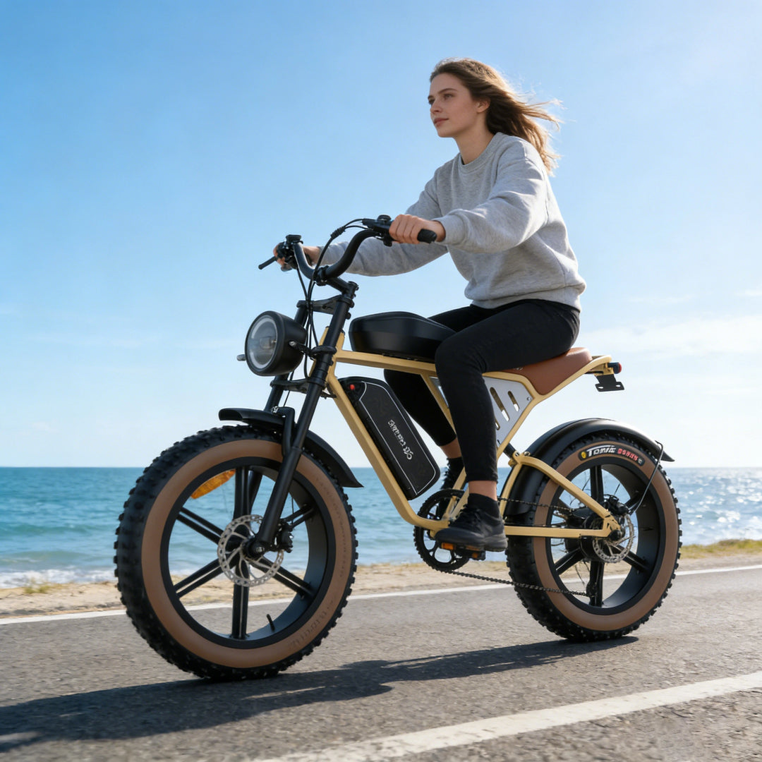 JANSNO X70 LONG-RANGE FAT TYRE ELECTRIC BIKE