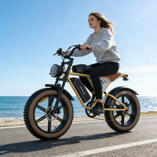 JANSNO X70 LONG-RANGE FAT TYRE ELECTRIC BIKE