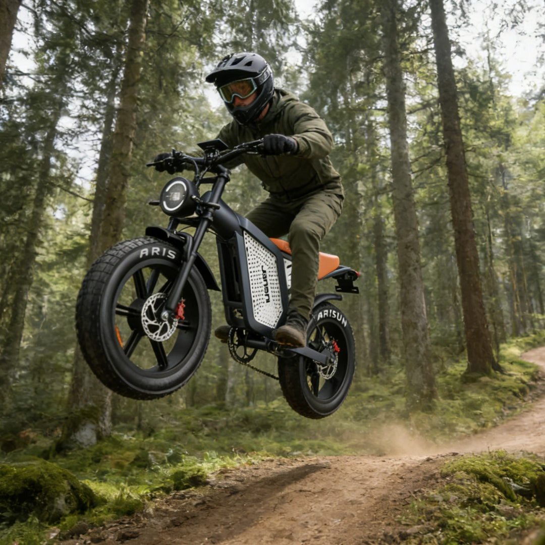 JANSNO X60 Electric Bike Dual Motor All-Wheel Drive